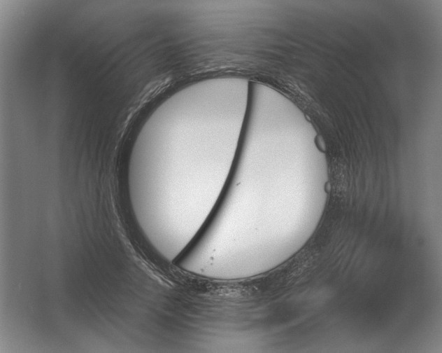 X0000062920738200601271805