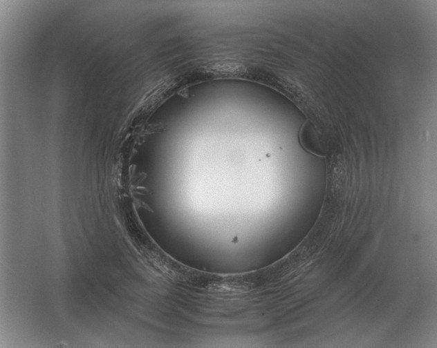 X0000062920739200601271805