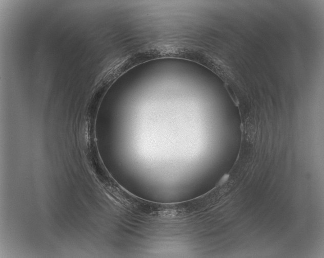 X0000062920740200601271805