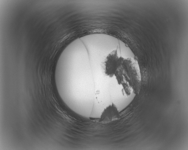 X0000062920741200601271805