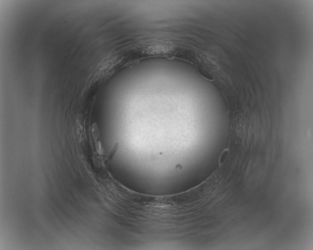 X0000062920743200601271805