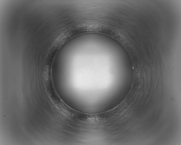 X0000062920744200601271805