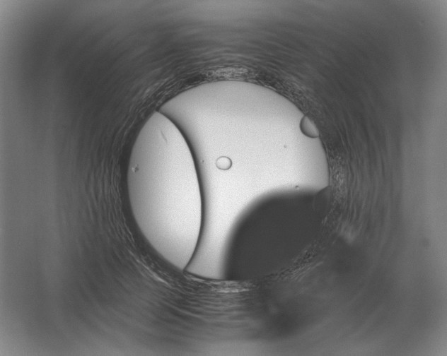 X0000062920745200601271805