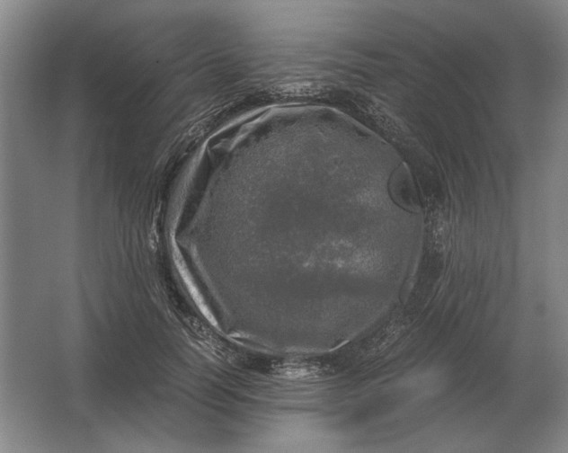 X0000062920746200601271805