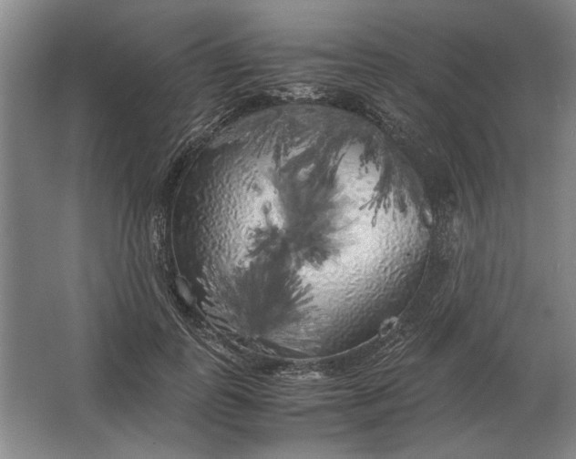 X0000062920747200601271805