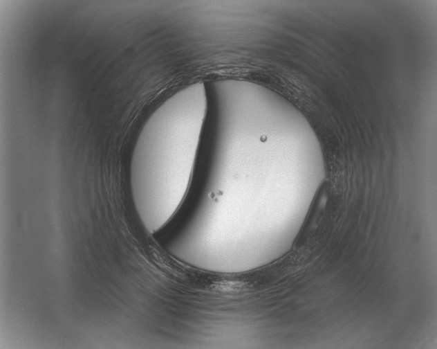 X0000062920748200601271805