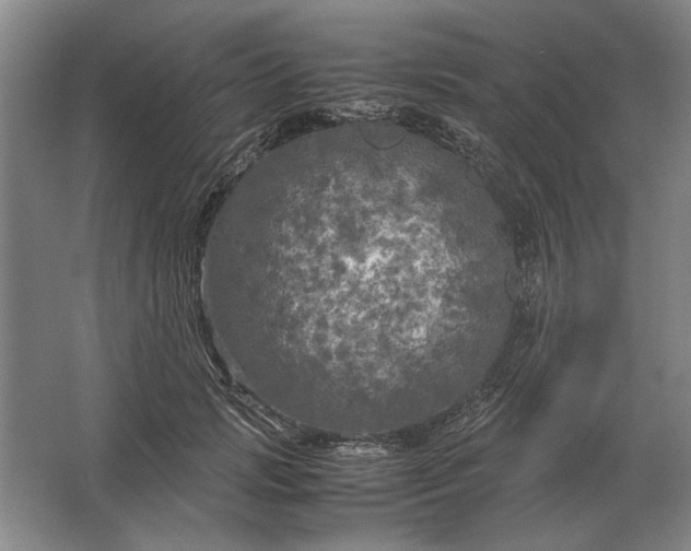 X0000062920749200601271805