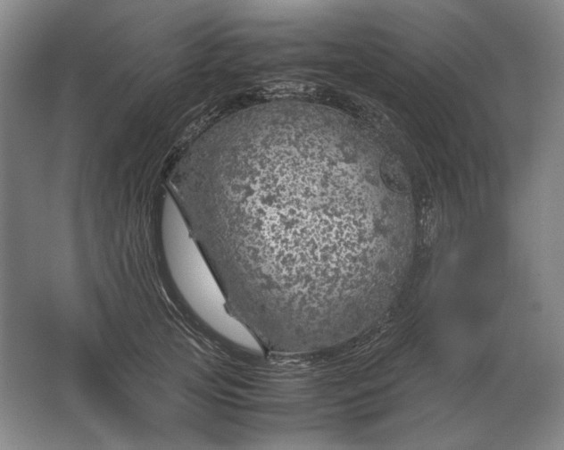 X0000062920753200601271805