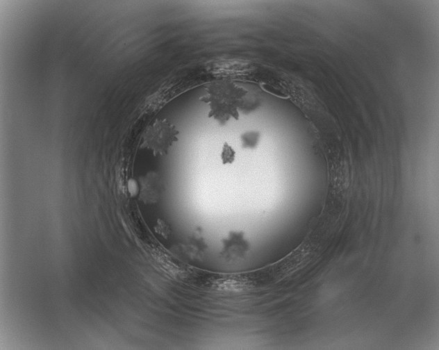 X0000062920755200601271805