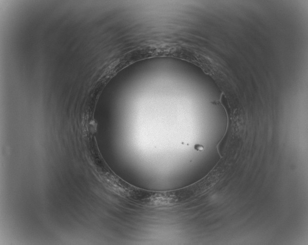 X0000062920756200601271805