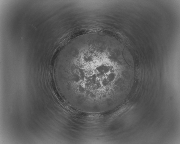 X0000062920757200601271805