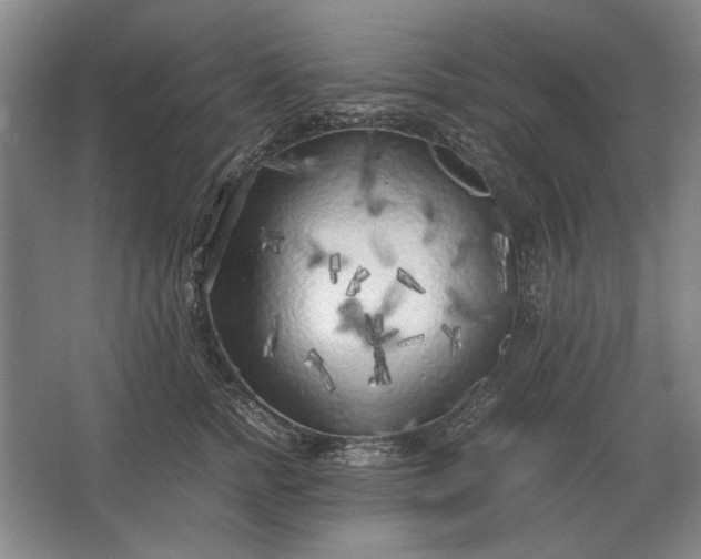 X0000062920758200601271805