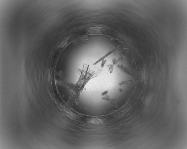 X0000062920759200601271805