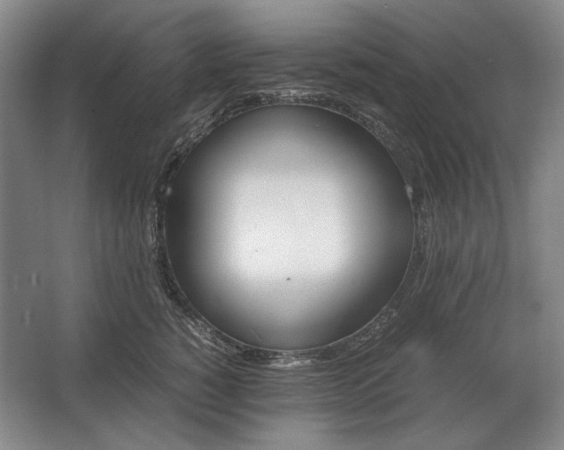 X0000062920760200601271805