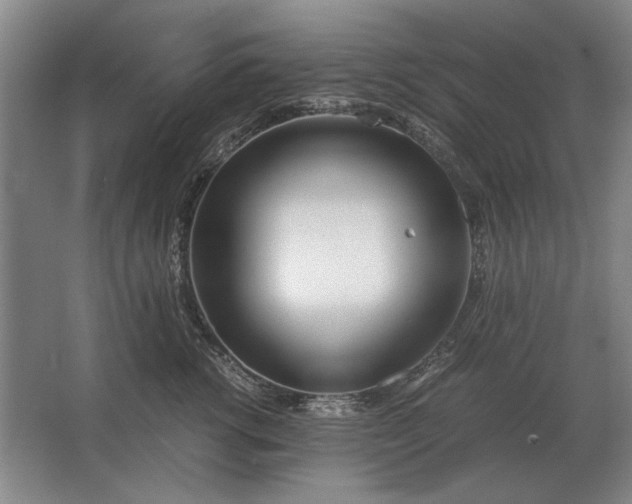 X0000062920762200601271805