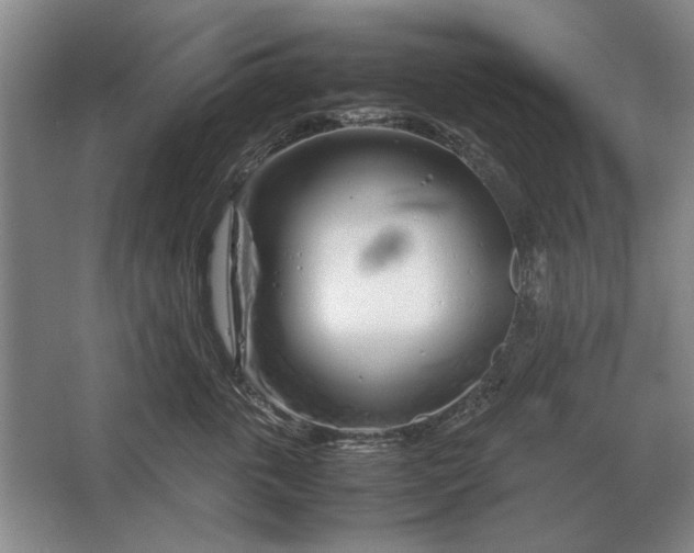 X0000062920763200601271805