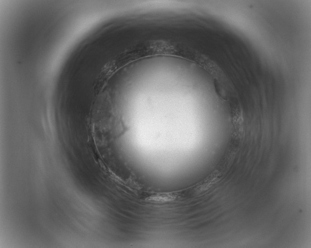 X0000062920765200601271805