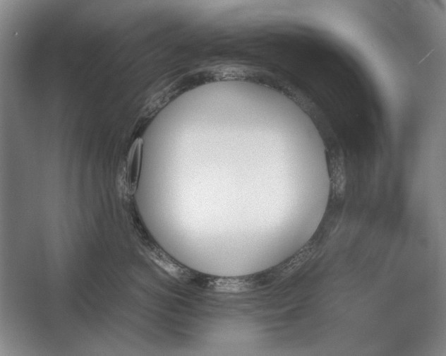 X0000062920766200601271805