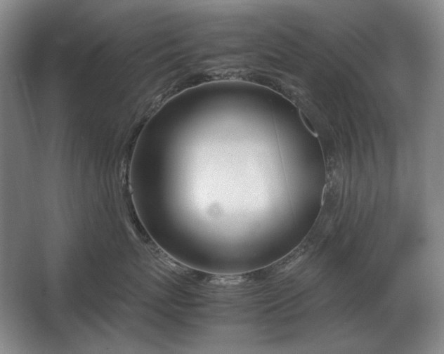 X0000062920767200601271805