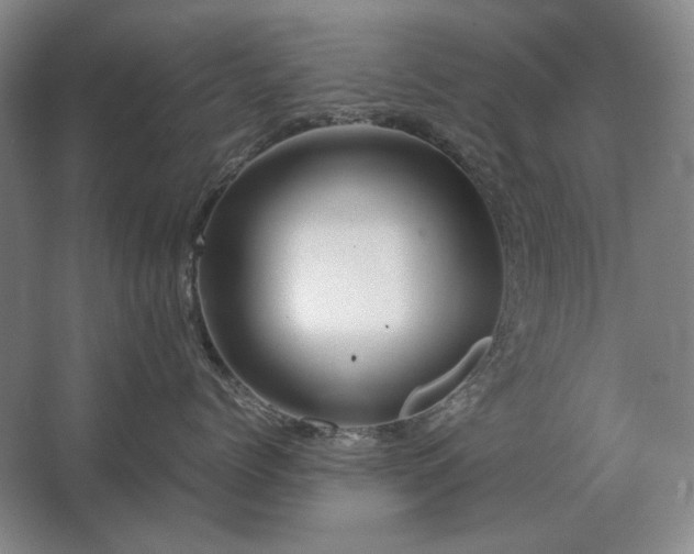 X0000062920768200601271805