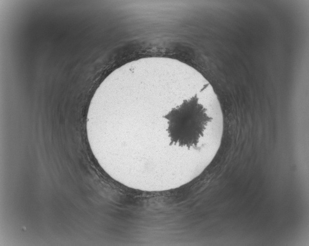 X0000062920769200601271804