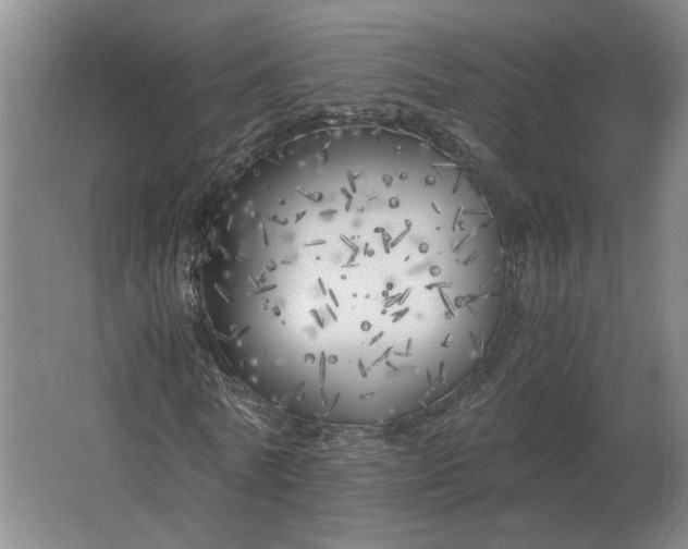 X0000062920770200601271804