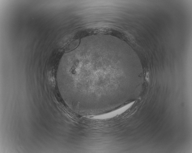 X0000062920771200601271804