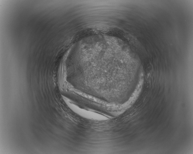 X0000062920772200601271804