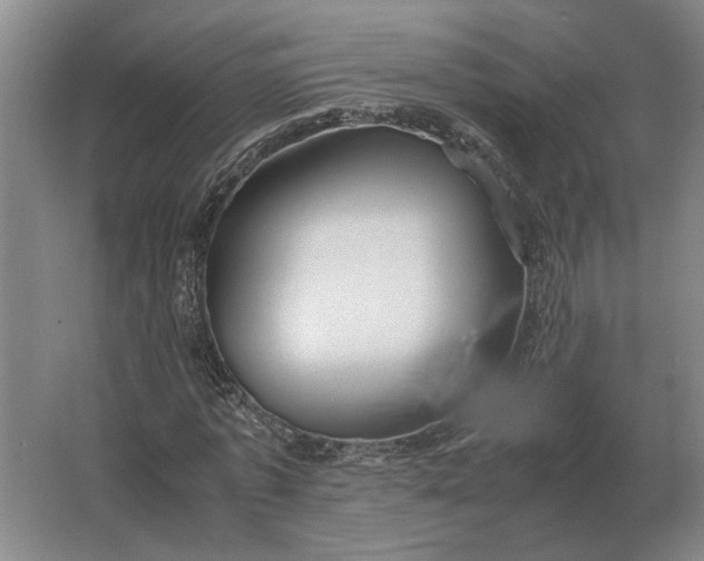 X0000062920773200601271804