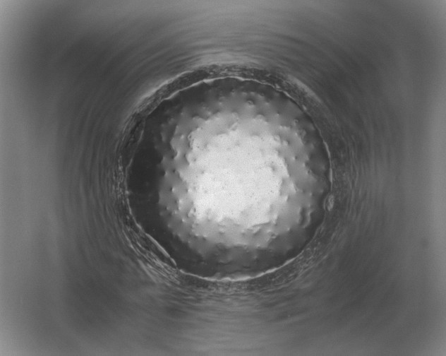 X0000062920775200601271804