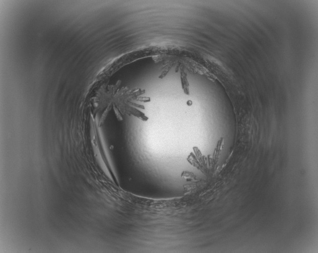 X0000062920776200601271804