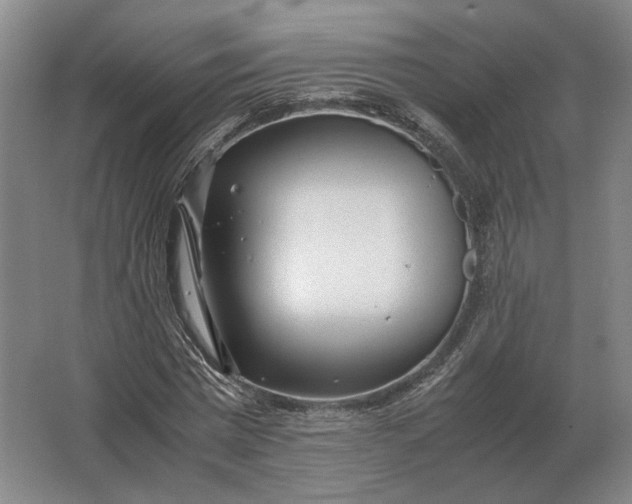 X0000062920777200601271804