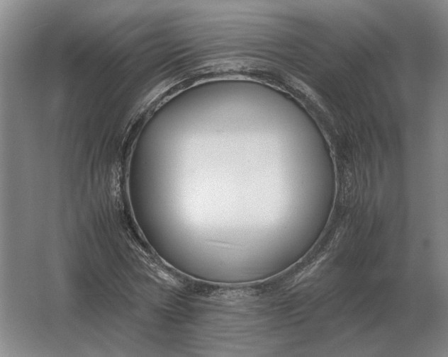 X0000062920778200601271804