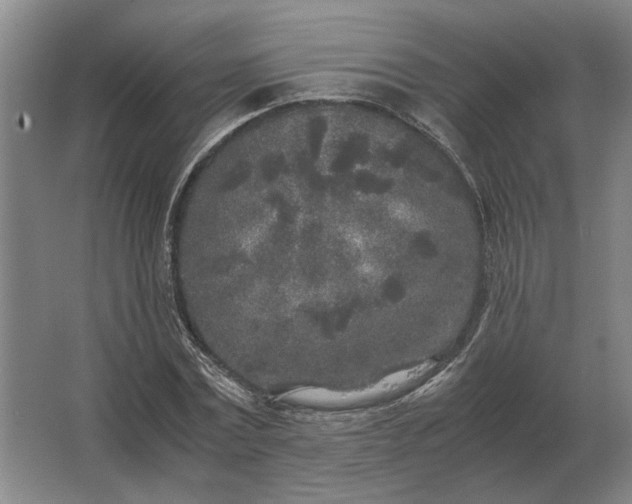 X0000062920779200601271804