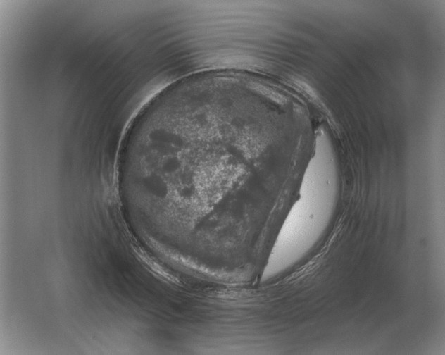 X0000062920780200601271804