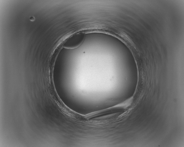 X0000062920781200601271804