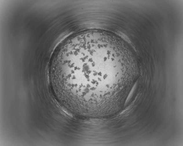 X0000062920782200601271804