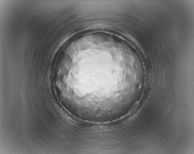 X0000062920783200601271804