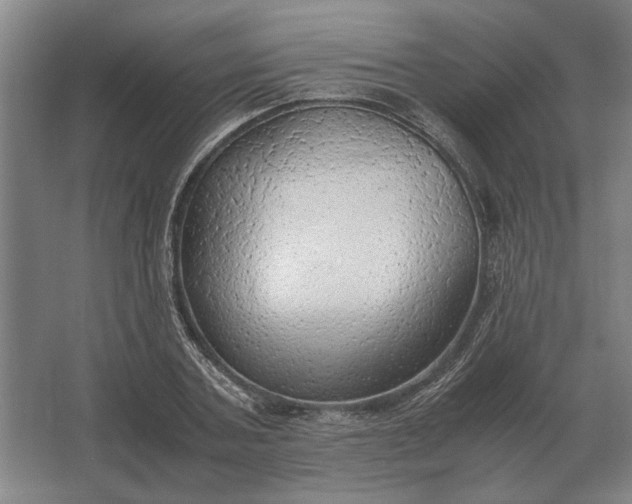 X0000062920787200601271804