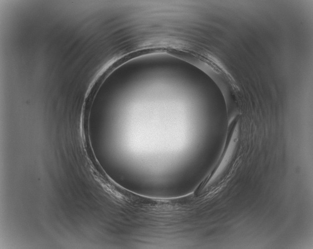 X0000062920788200601271804