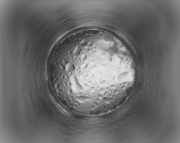 X0000062920791200601271804