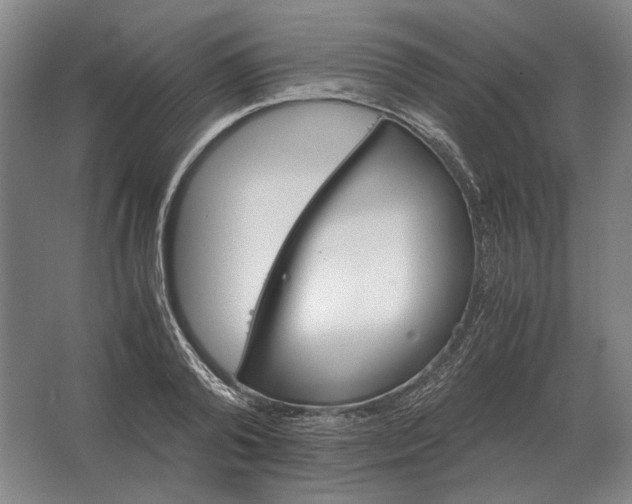 X0000062920792200601271804