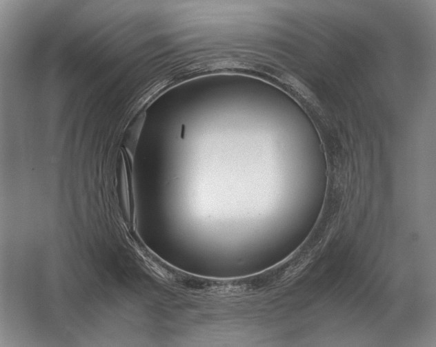 X0000062920793200601271804