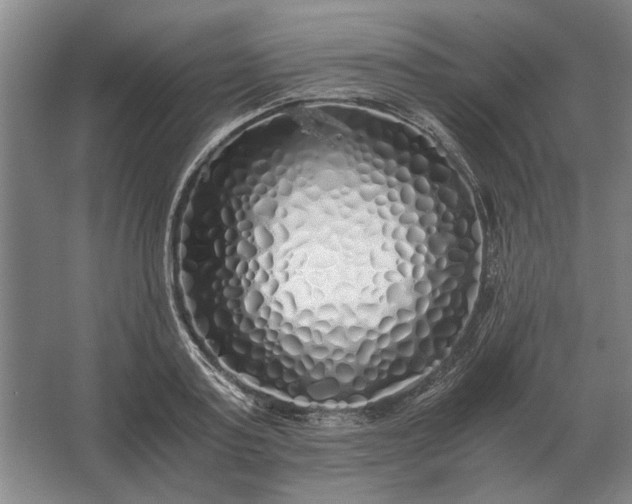 X0000062920795200601271804