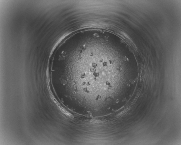 X0000062920796200601271804