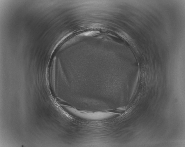 X0000062920798200601271804