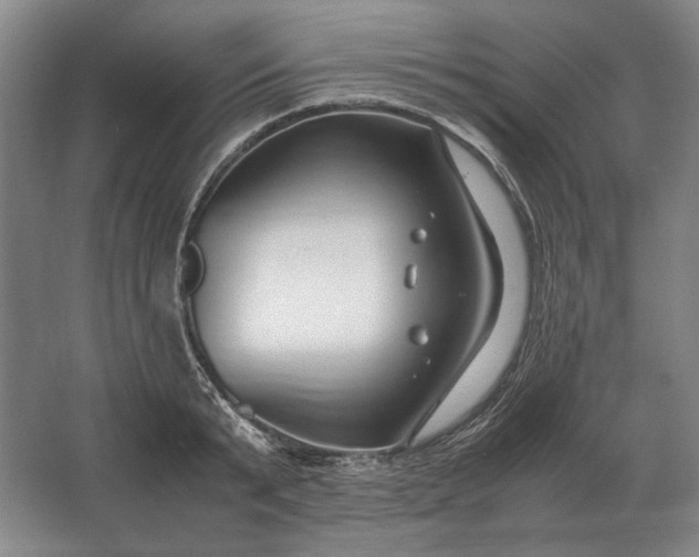 X0000062920799200601271804