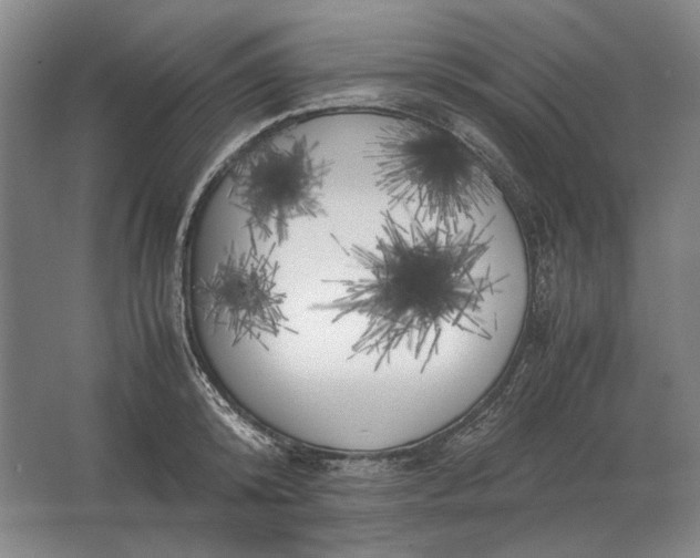 X0000062920800200601271804