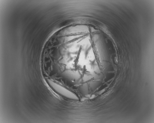 X0000062920803200601271804