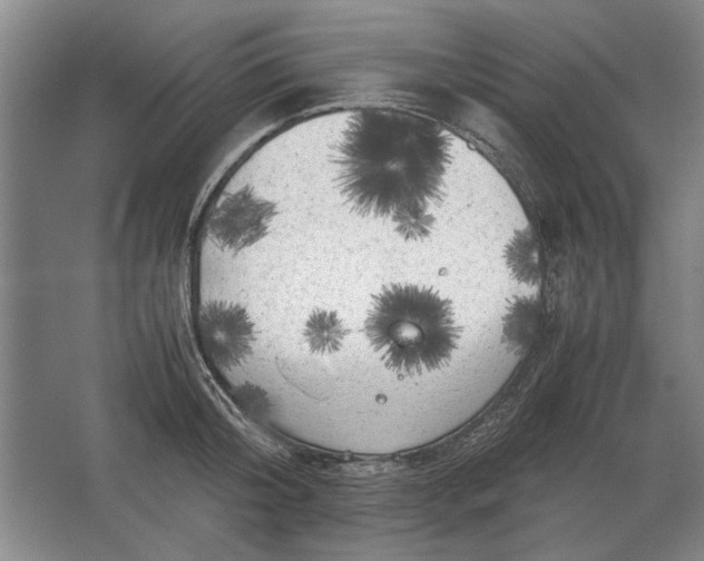 X0000062920804200601271804